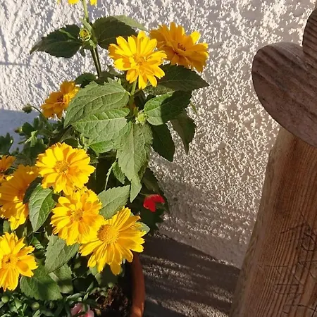 Schmied エーバースベルク